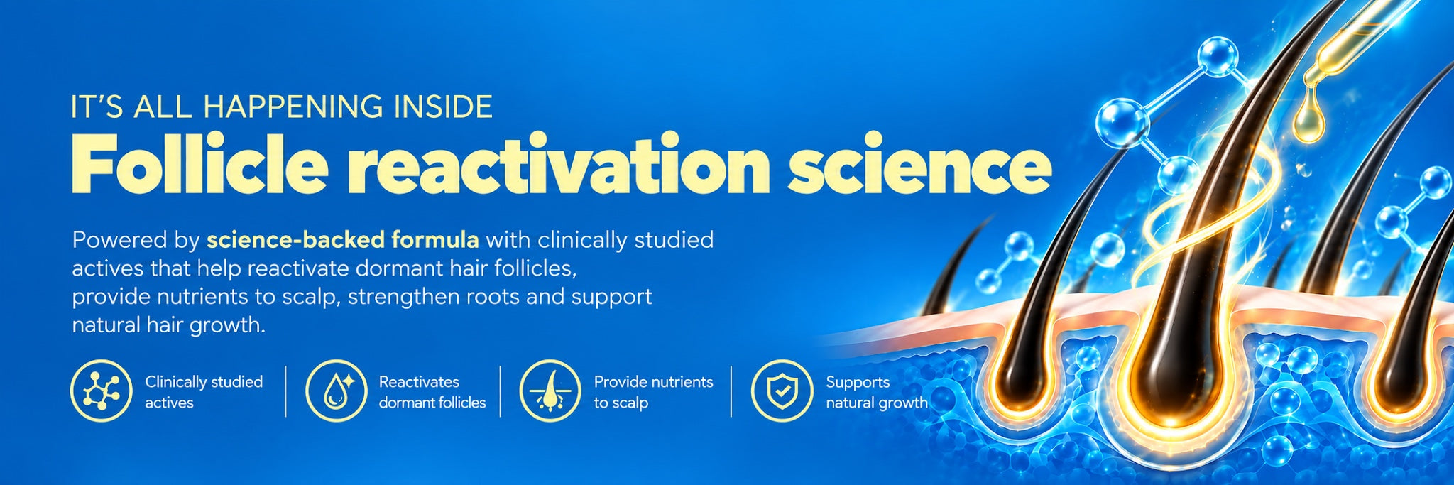 It's All Happening Inside: Follicle reactivation science - Powered by science-backed formula with clinically studied actives that help reactivate dormant hair follicles, provide nutrients to scalp, strengthen roots and support natural hair growth